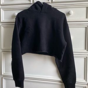 aritzia cropped hoodie